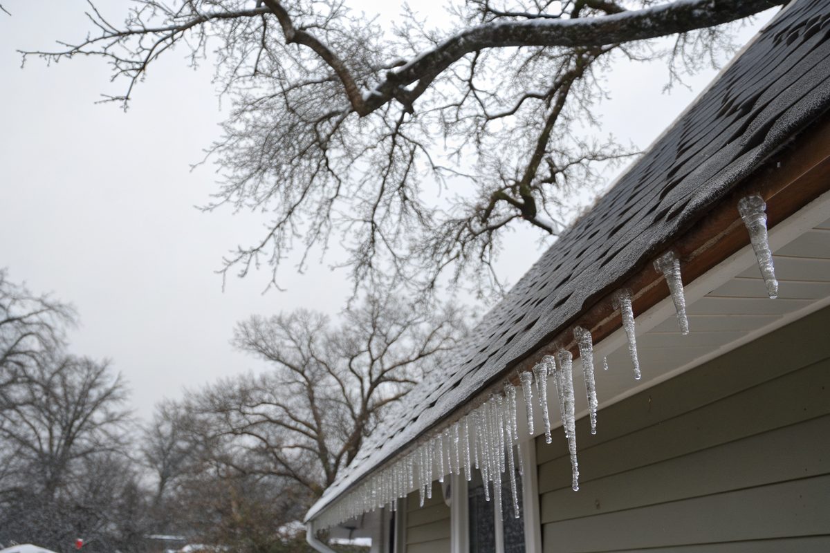 Ice and short icicles along a gutter and roof edge with ice-glazed branches behind